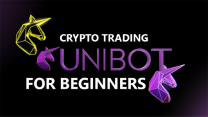 Read more about the article Getting Started With UniBot : A Guide for Newbies